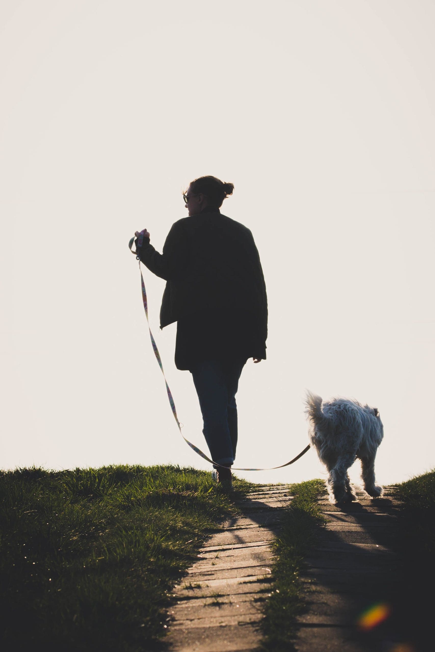 person walking a dog